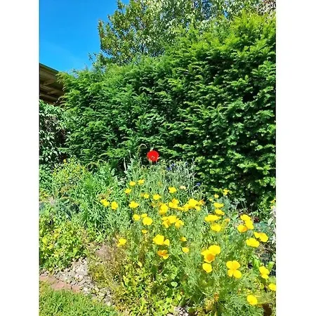 度假居 Josephine Zoeller House *