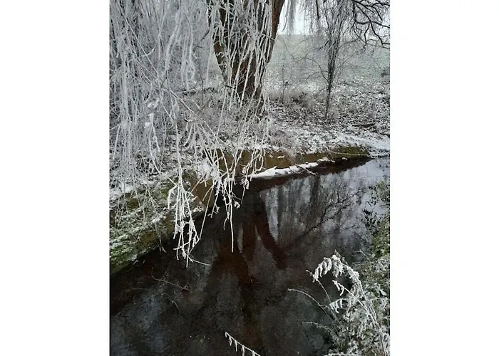 Josephine Zoeller House 度假居