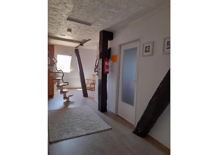 Josephine Zoeller House * 布隆贝格