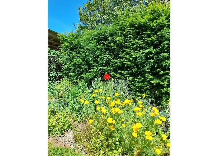 度假居 Josephine Zoeller House *